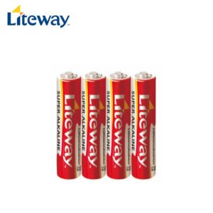 AAA LR03 1.5V Alkaline Battery (2)