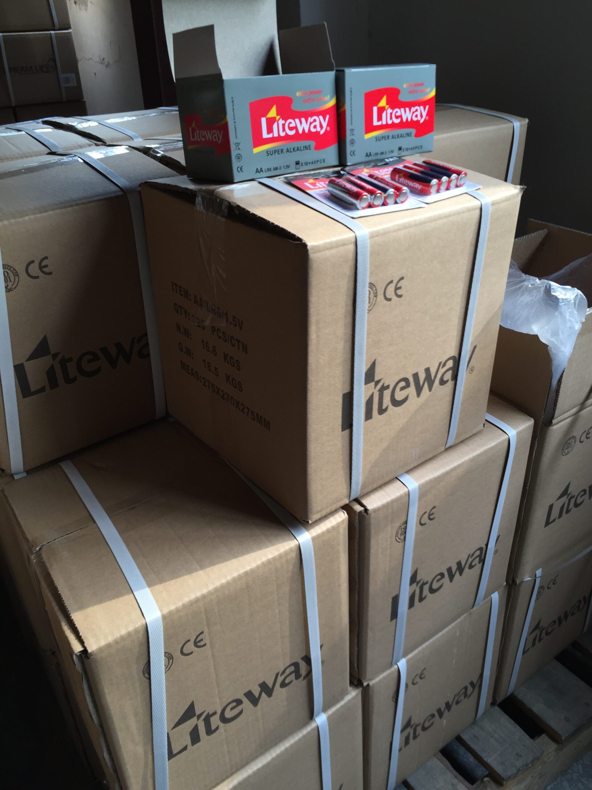 Alkaline Battery Packaging (3)