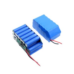 12V 18650 NMC Battery Pack (1)