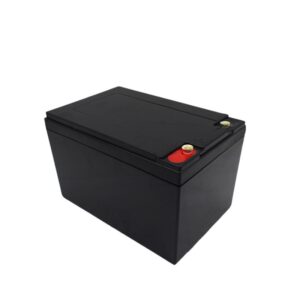 24V LiFePO4 Battery (2)