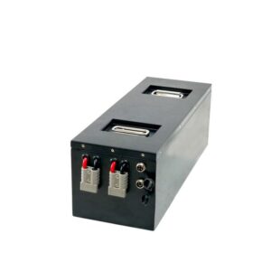 36V LiFePO4 Battery (1)